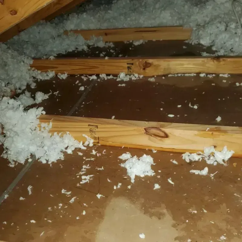 Attic Water Damage in Wister, OK