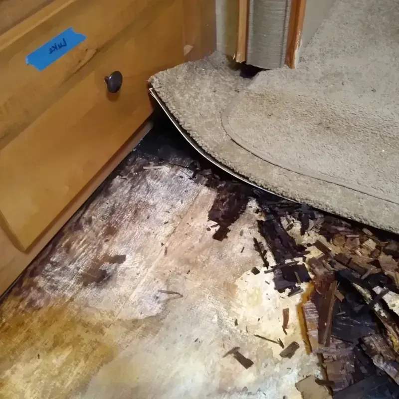 Wood Floor Water Damage in Wister, OK